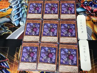 Nightmare Mirror Rebels - Neiloy BACH 1 rare set of 9 tera