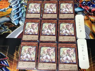 夢魔鏡の使徒-ネイロイ BLVO 1 レア 9枚セット てら