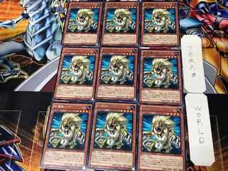 Heraldic Beast Leo CBLZ 2 rare, set of 9 Tera.