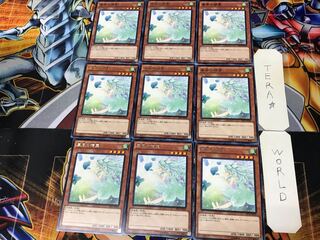 Spirit of the Fall Wind SHVI 1 rare, set of 9 Tera.