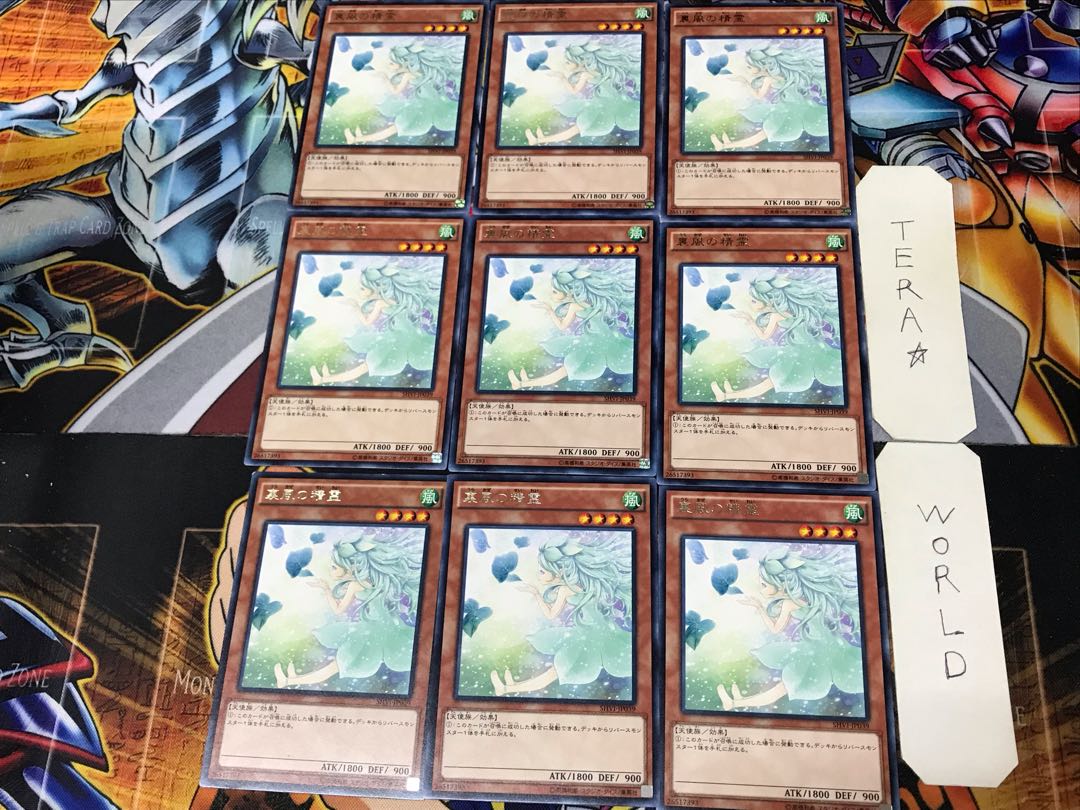 Spirit of the Fall Wind SHVI 2 rare, set of 9 Tera.