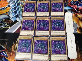 Mystery Shell Dragon CORE 2 rare, set of 9, Tera.