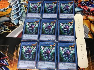 光子竜の聖騎士 LVAL 2 レア 9枚セット てら