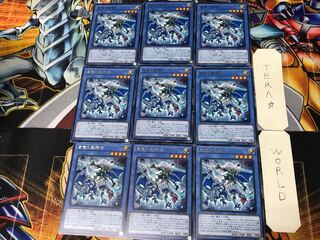 Paladin of Storm Dragon CYHO 2 rare, set of 9 Tera.