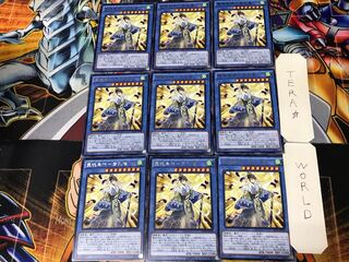 霊魂鳥神-彦孔雀- RATE 1 レア 9枚セット てら