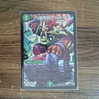 Class S Primitive Sunmad SR S9/S9 DMR19