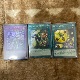 シャドールセット