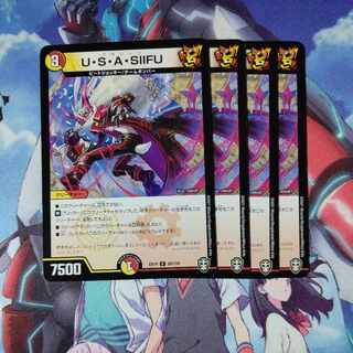 U-S-A-SIIFU R 25/110 Set of 4