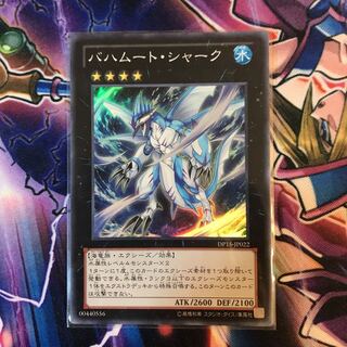 バハムートシャーク