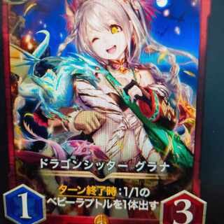 2枚組ドラゴンシッターグラナ(ペント様)