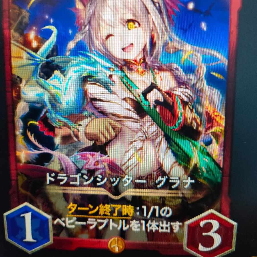 2枚組 ドラゴンシッター