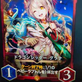 2枚組 ドラゴンシッター