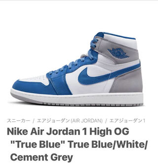 ナイキ エアジョーダン1 ハイ OG "トゥルーブルー" トゥルーブルー/ホワイト/セメントグレー DZ5485-410 29cm