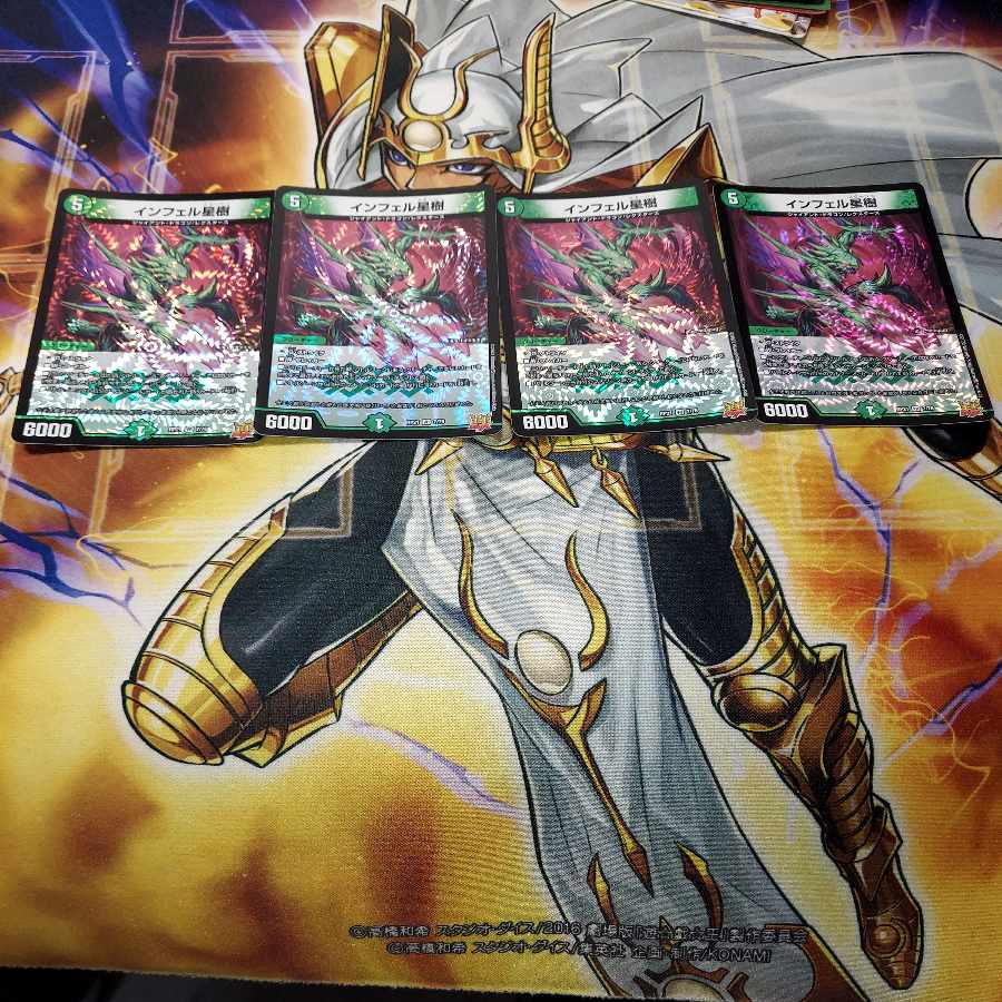 Infelix star tree (species of sedge, Infelix infelix)