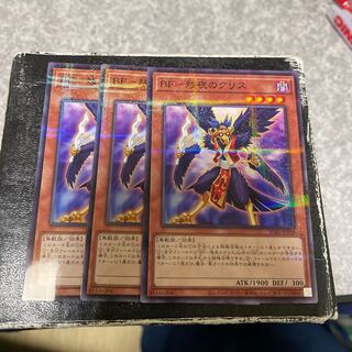 BF- Ku Squirrel of Remaining Night 3 Normal Parallels