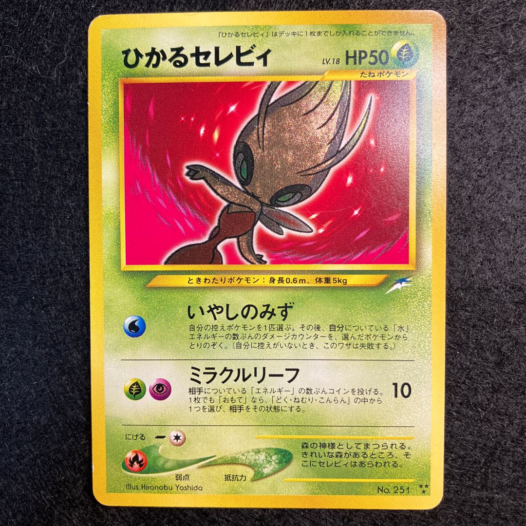 Hikaru Celebi Old Back (3)
