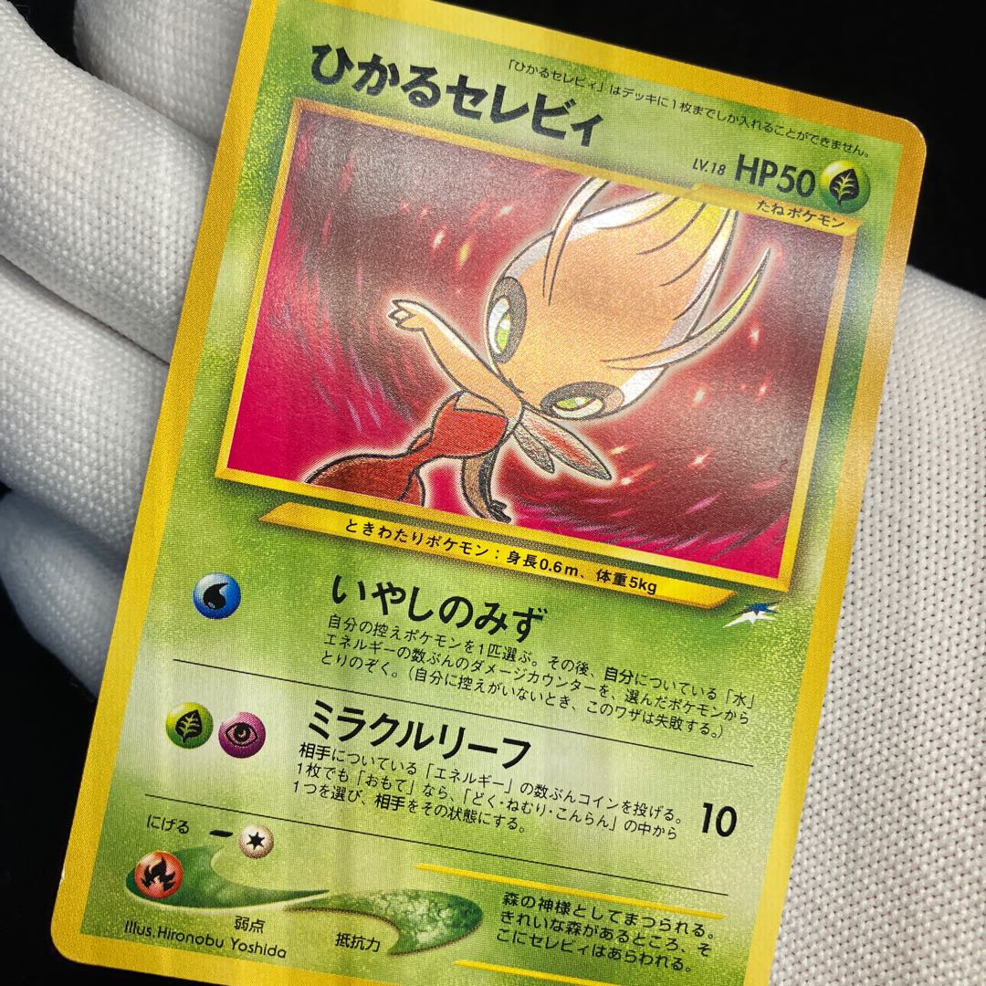 Hikaru Celebi Old Back (3)