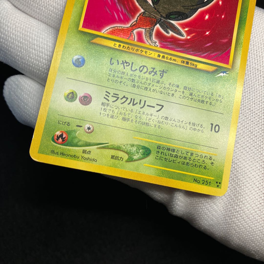 Hikaru Celebi Old Back (3)
