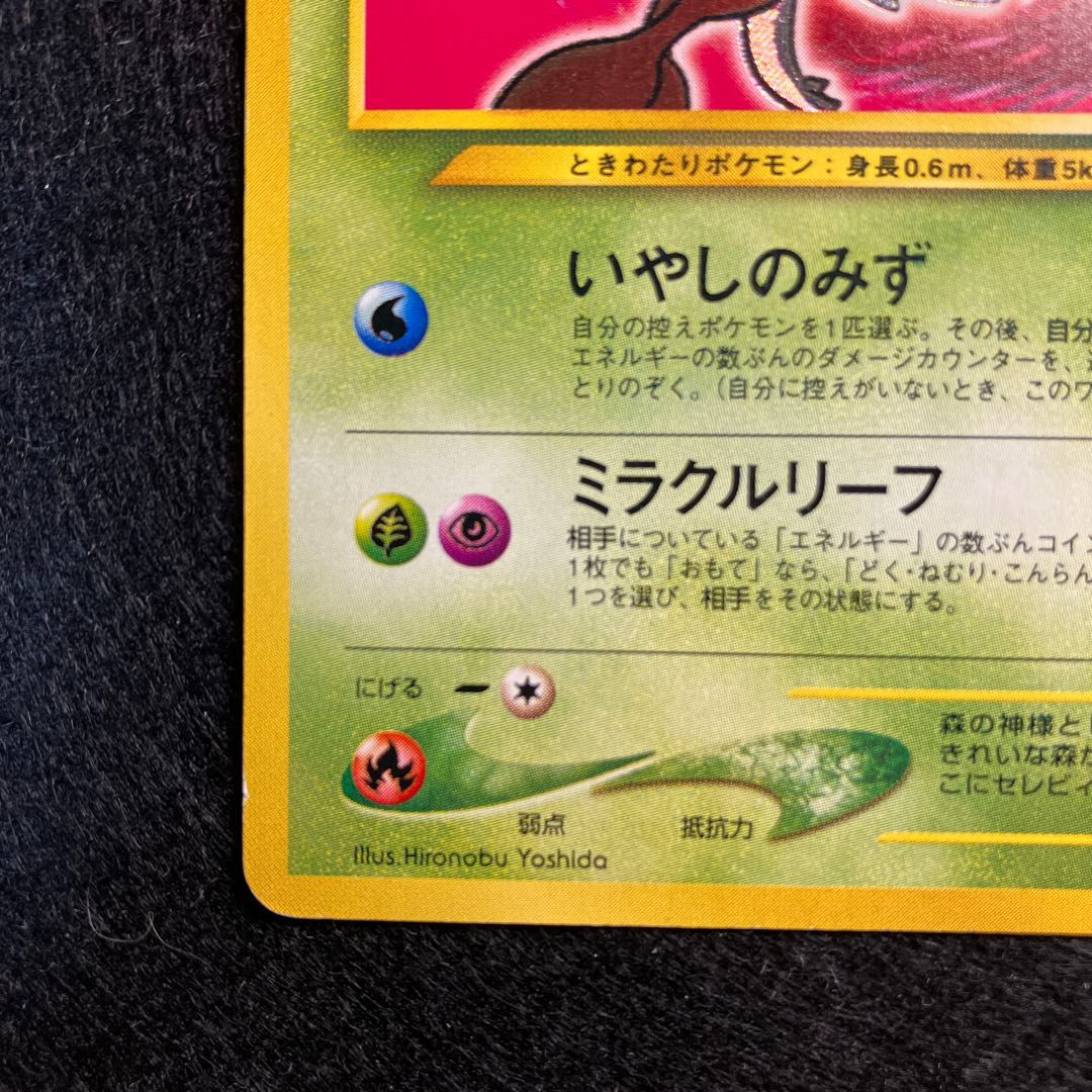 Hikaru Celebi Old Back (3)