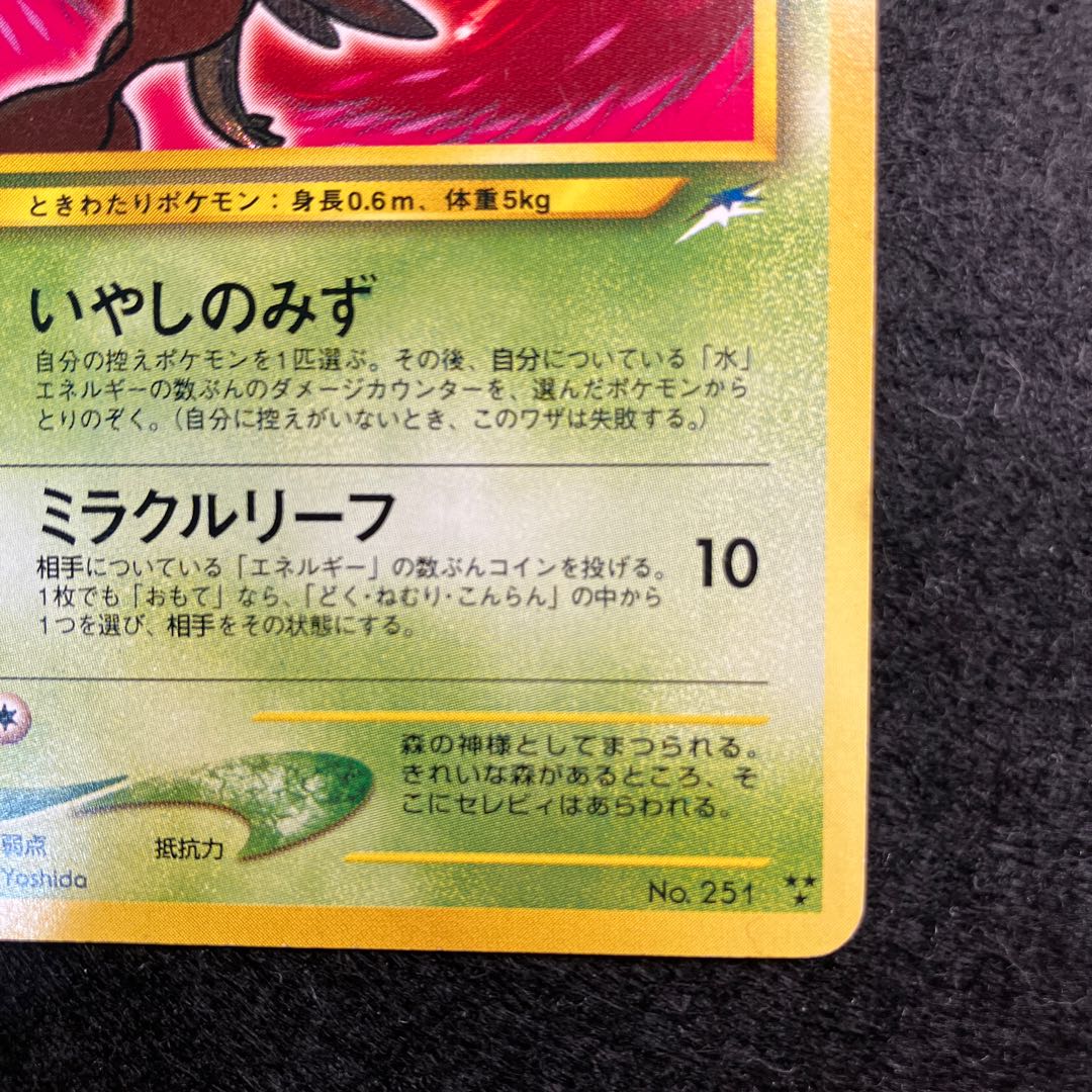 Hikaru Celebi Old Back (3)