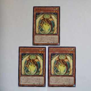 Hundred Apple Dragon - Ringo Blum Rare JP029 Set of 3