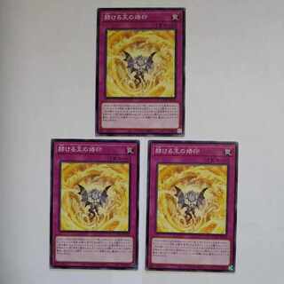 Brilliant King's Brand Normal JP070 Set of 3