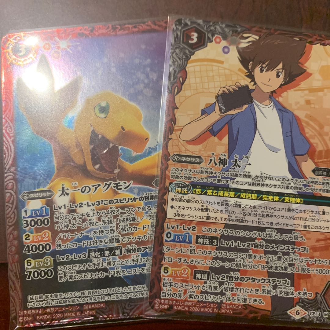 パンチ様　専用 1枚