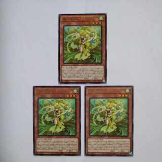 Pearl Miko Furi Rare JP019 Set of 3