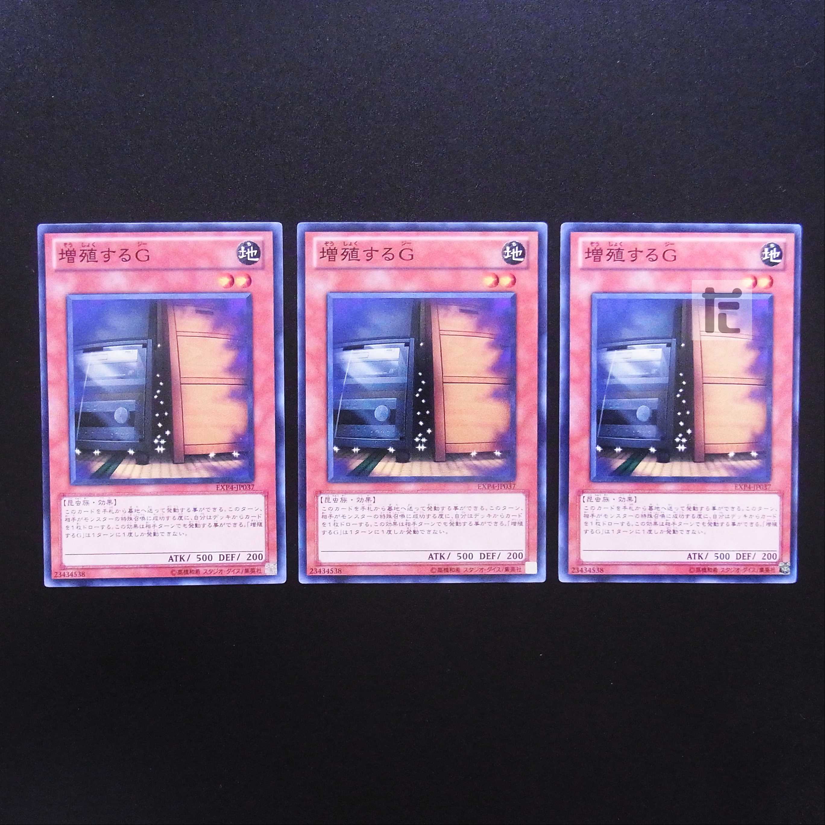 Maxx "C" Normal, set of 3 / Management:MY0799