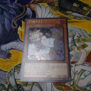 灰流うらら ウルトラ