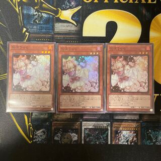 Ash Blossom & Joyous Spring Super Rare JP016 Set of 3