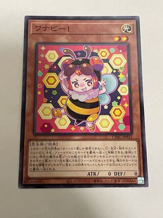 Wannabee! Normal rare JP031