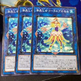 海晶乙女コーラルアネモネ ノーマル JP041