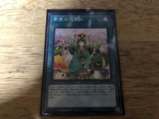 【ダボハゼ】繁華の花笑み