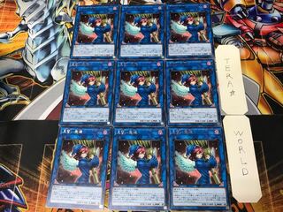 Wee Witch's Apprentice CYHO 2 rare, set of 9, Tera.
