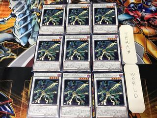 A BF-May Rain Sohaya TDIL 1 Rare Set of 9 Tera.