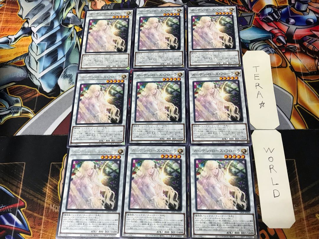 Garden Rose Flora LIOV 2 rare, set of 9 tera