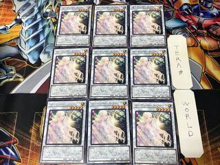 Garden Rose Flora LIOV 3 rare, set of 9 tera