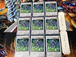 Dragunity Knight - Haroon CYHO 2 Rare Set of 9 Tera.