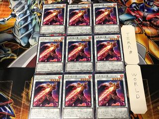 Flame Holy Knight Guide - Laurent ROTD 2 Rare Set of 9 Tera.