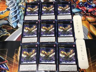 Number 66: Master Key Beetle JOTL 3 rare, set of 9, Tera.