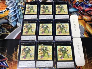 ティーチャーマドルチェ・グラスフレ DANE 3 レア 9枚セット てら