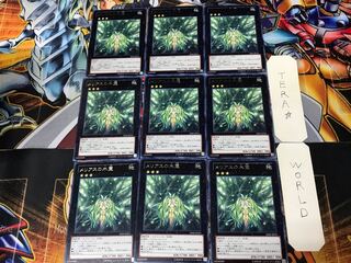 メリアスの木霊 SHSP 1 レア 9枚セット てら