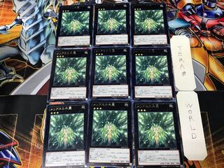 メリアスの木霊 SHSP 2 レア 9枚セット てら