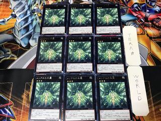 メリアスの木霊 SHSP 3 レア 9枚セット てら