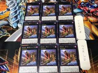 Umi Zouzoukai - Serenity's Merke No. WPP1 3 Rare Set of 9 Tera.