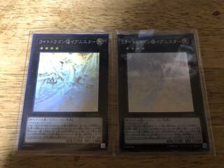 【ダボハゼ】ライトドラゴン＠イグニスター