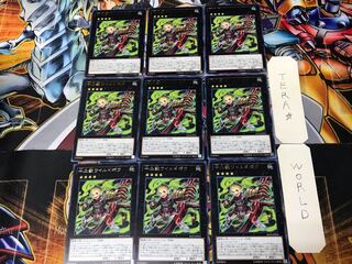 十二獣ワイルドボウ RATE 1 レア 9枚セット てら