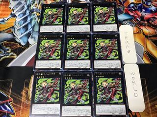 十二獣ワイルドボウ RATE 2 レア 9枚セット てら