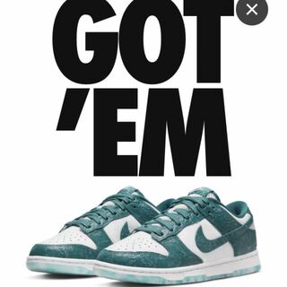 ナイキ ウィメンズ ダンク ロー "オーシャン" サミット ホワイト/ブライト スプルース DV3029-100 27.5cm